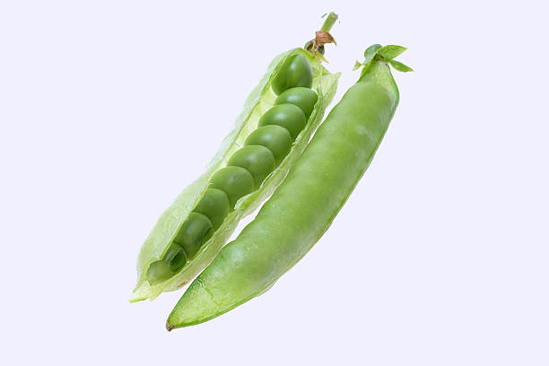 istock Fresh green peas on a white background 583808362