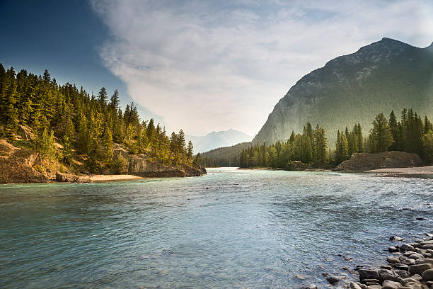 istock Alberta Wilderness near Banff 583808622
