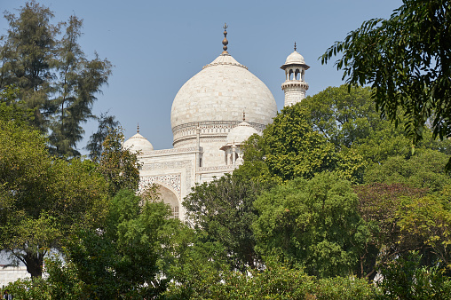 Rangji temple is a dedication to Lord Vishnu, the incarnation of Lord Rangji. There are idols of other gods as well in the temple such as those of Goddamaji, Goddess Laxmi, Lord Krishna, and Shri Ramanujacharya.