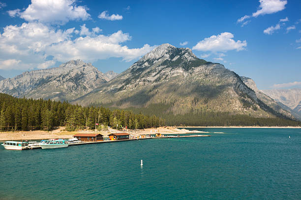 istock Alberta Wilderness near Banff 583809114