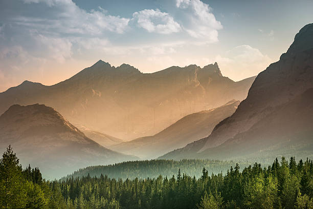 alberta selvaggia vicino a banff - montagna foto e immagini stock