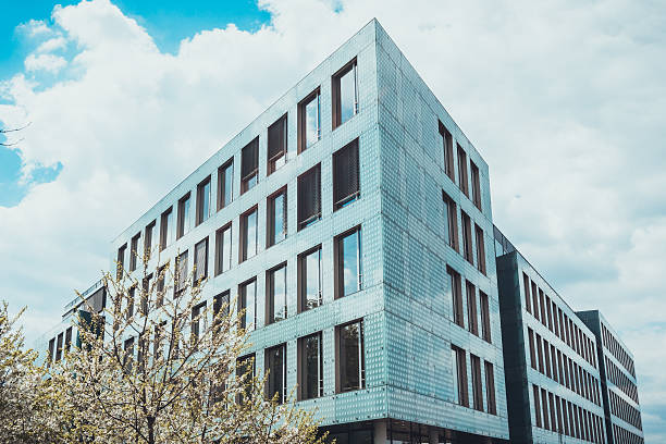 istock Tree with sprouting leaves in front of building 583811796