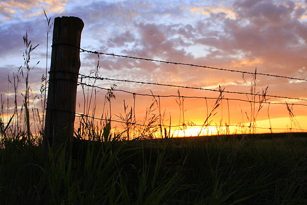 The western sky puts on one last vibrant show for the day as the sun dips below the horizon behind this fence post near a Calhoun County cornfield. 