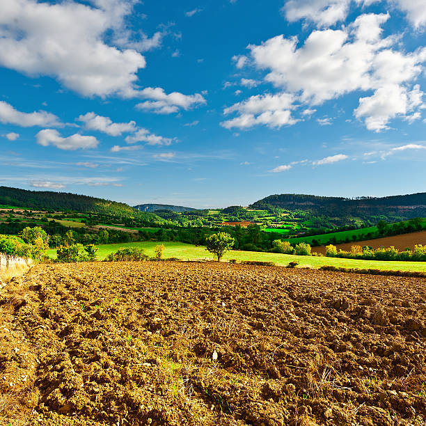 plowed поля  - travel scotland forest field стоковые фото и изображения