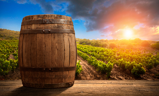 Red wine with barrel on vineyard in green Tuscany, Italy.
