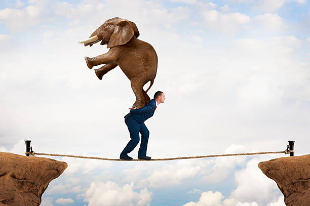 business challenge concept business challenge concept businessman carrying an elephant across a tightrope chasm tightrope stock pictures, royalty-free photos & images