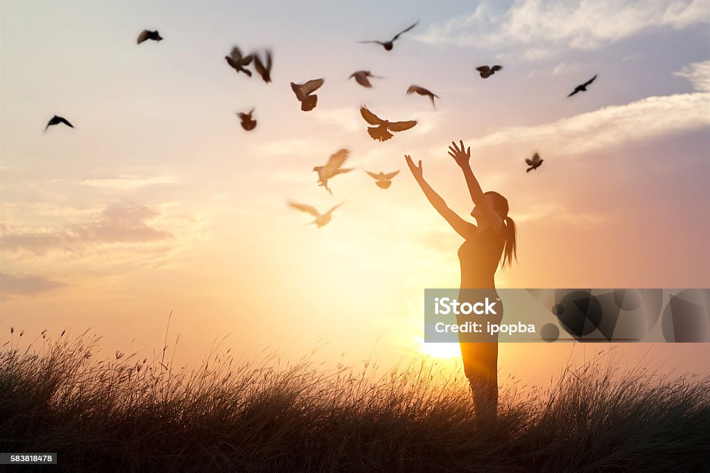 Woman praying and free bird enjoying nature on sunset background Woman praying and free bird enjoying nature on sunset background, hope concept Hope - Concept Stock Photo