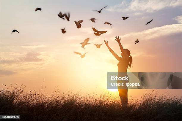 Woman Praying And Free Bird Enjoying Nature On Sunset Background Stock Photo - Download Image Now