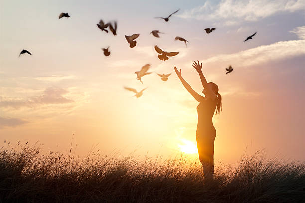 kobieta modląc się i wolny ptak cieszący się naturą na tle zachodu słońca - humility zdjęcia i obrazy z banku zdjęć