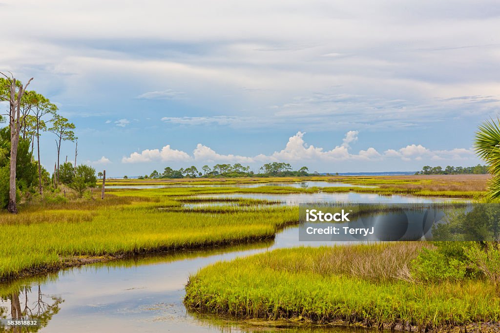 Florida Landscape of Marshland Beautiful view of Florida landscape Everglades National Park Stock Photo