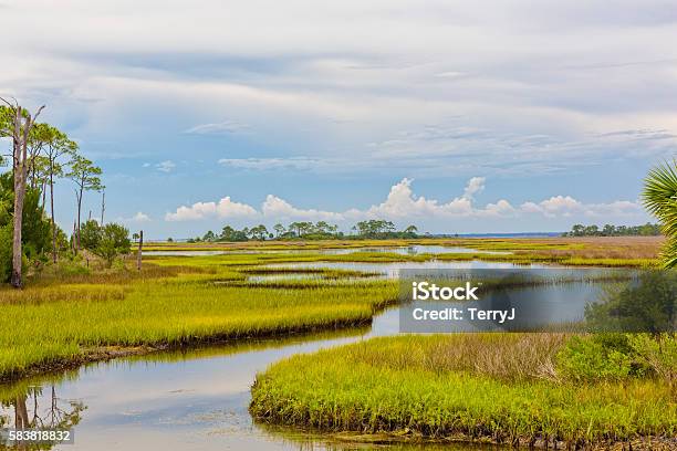 Florida Landscape Of Marshland Stock Photo - Download Image Now - Everglades National Park, Florida - US State, Marsh