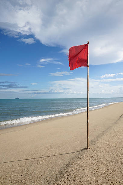 istock warning sign of a red flag at aclean beach 583823424