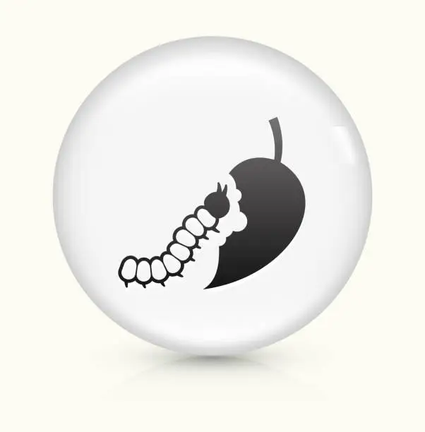 Vector illustration of Caterpillar icon on white round vector button