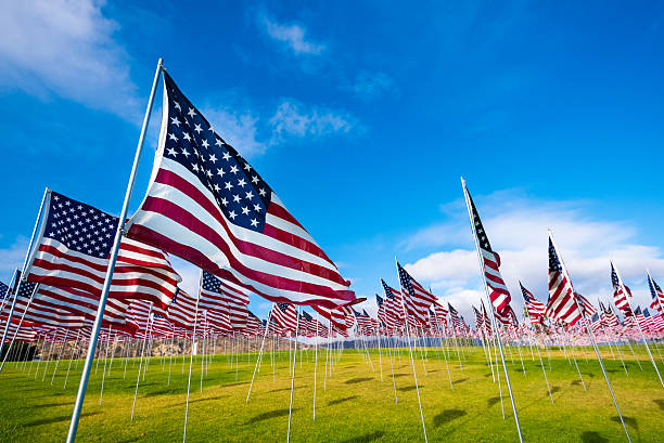 istock Field of American Flags 583826602
