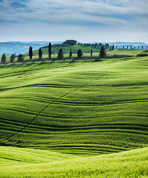 istock Morning landscape from Tuscany 583826606
