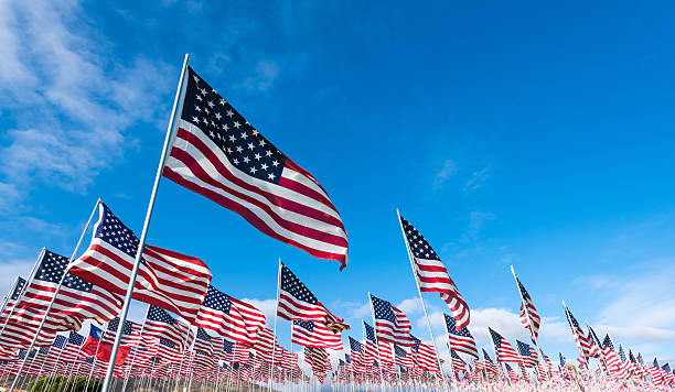 istock Field of American Flags 583826668