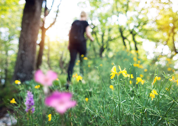 istock Woman Hiking In The Forest 583827594