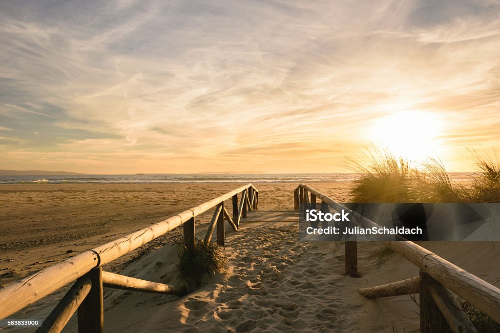 Path on sand at sunset, Tarifa, Spain A path on sand at sunset going to the sea. The wather is beautiful with an awesome sunset with golden light and little clouds in the sky. Beach Stock Photo