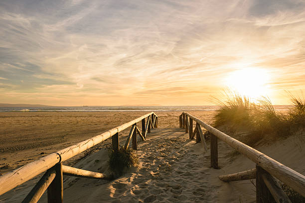 путь на песке на закате, нарифа, испания - andalusia beach cadiz spain стоковые фото и изображения