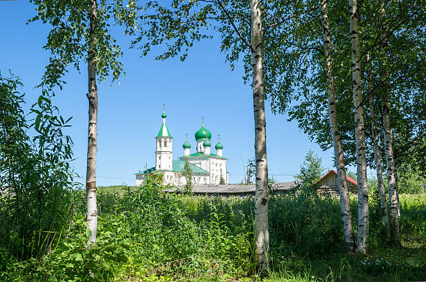 старо-русская церковь на фоне березы - архангельск стоковые фото и изображения