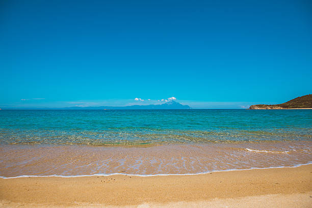 istock Summer on sandy beach - travel and holiday concept 583838532