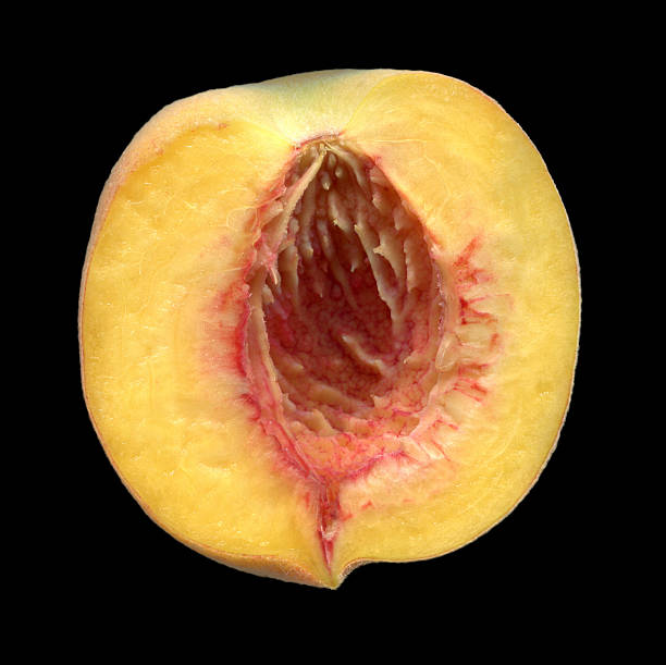 istock Half of ripe peach, pitted 583847444