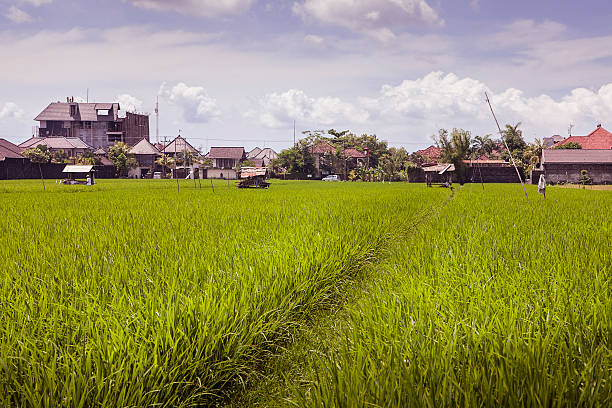 istock Small village in the rice field 583847778