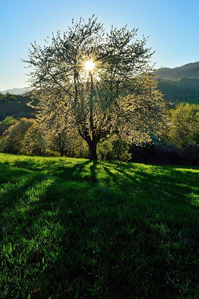 istock Slovakian landscape 583848610
