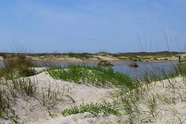 Sand dunes, grass , tide-pool with kites in the background