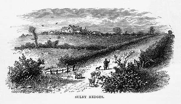illustrations, cliparts, dessins animés et icônes de sulby hedges in naseby, england victorian engraving, circa 1840 - comté de northampton midlands