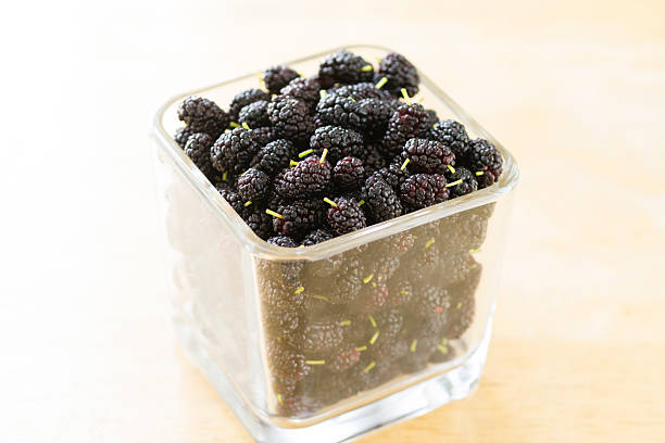 istock mulberries in glass dish high key 583851196