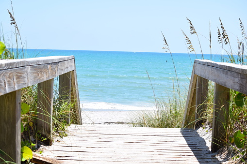 A wooden, sandy boardwalk leading to the blue Atlantic Ocean. Vegetation lines both sides of the wooden railings. 