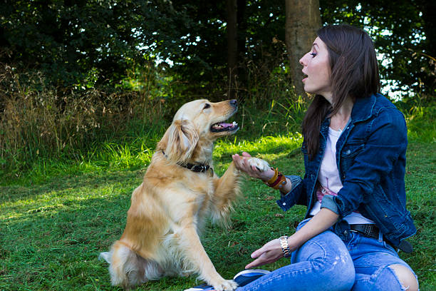 istock Young woman and dog in forest 583852518