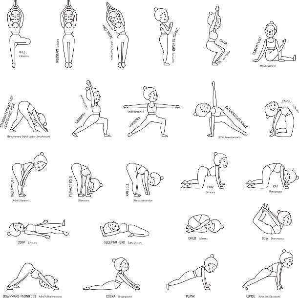Yoga basic poses with names outline vector set with woman. Yoga basic poses with names vector set with young woman (girl). Clean and simple outline design. snake names stock illustrations