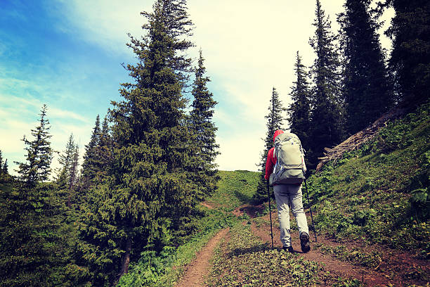 istock young woman backpacker hiking on beautiful mountain peak trail 583857558
