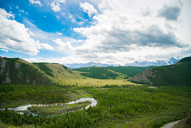 istock beautiful landscape of mountains and forest 583858422