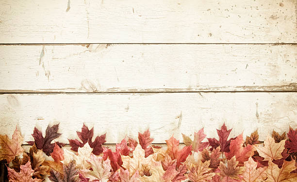 istock Autumn Fall Maple Leaves Border on Old White Wood Background 583858462