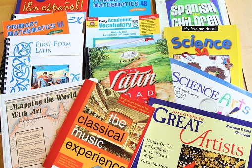 West Palm Beach, USA - July 26, 2016: A large assortment of children's schoolbooks or textbooks used for elementary education in schools or by home  schoolers. Subject matter includes math, science, spanish, latin, grammar, vocabulary, art, music and mapping or geography.