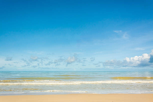 istock beach and beautiful tropical sea 583958106