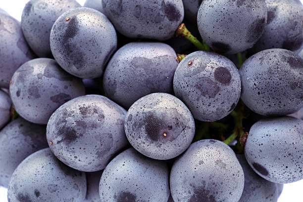 istock Japanese purple grape isolated #2 583960738
