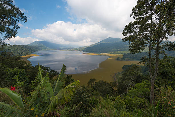 istock Lake Tamblingan, Bali, Indonesia 583961932