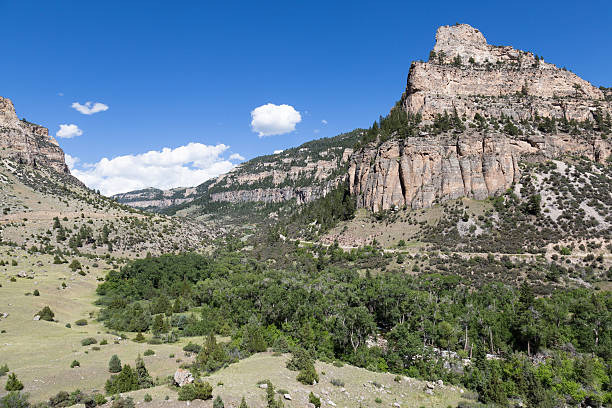 istock Mountains in Wyoming on a clear day. 583963436