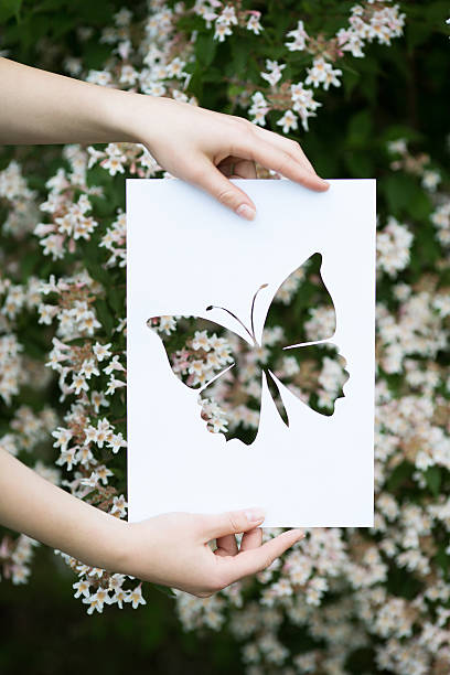 istock holding paper cut miniature butterfly over blooming tree 583964502