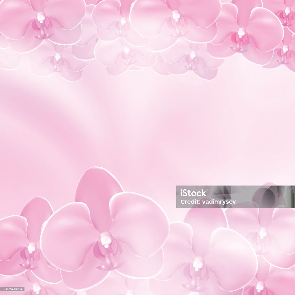 Nền Hoa Lan Hoa Hồng Hình minh họa Sẵn có - Tải xuống Hình ảnh ...