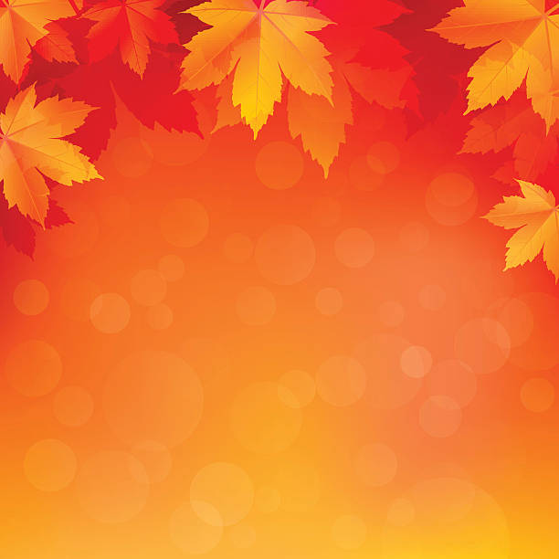 autumn, fall background with bright golden maple leaves - fall stock illustrations