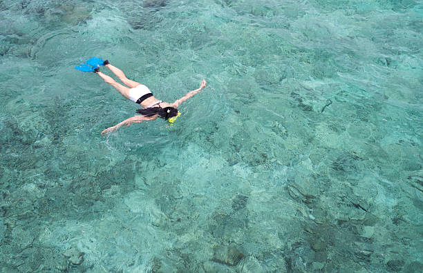 istock snorkeling in the clear blue Indian ocean 583970320