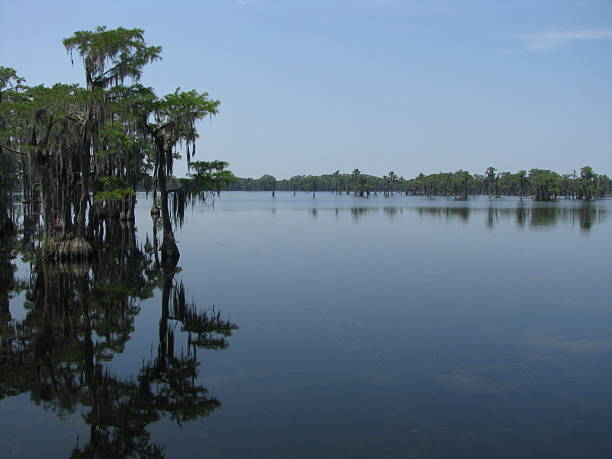 istock Lake with Swamp Cypress 583971410