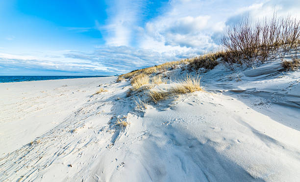 istock Sandy beach and sand dune over sea, summer landscape 583971524