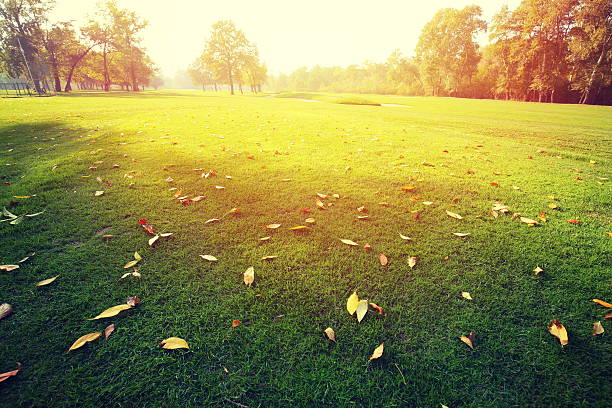 istock Autumn at the morning park 583975226
