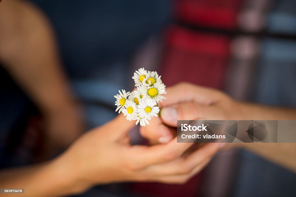 Flowers as a gift Detail of hands where boyfriend is giving flowers to girlfriend while they are on a picnic in a park. Focus on the flowers Close-up Stock Photo